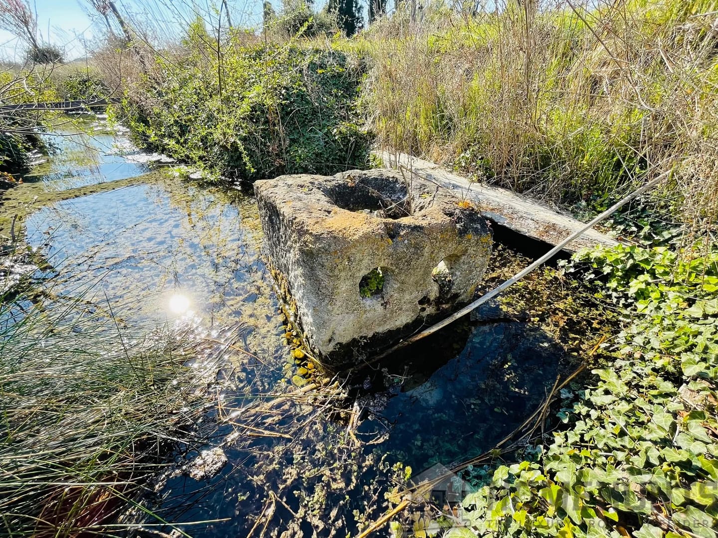 property_HH-15607266-23