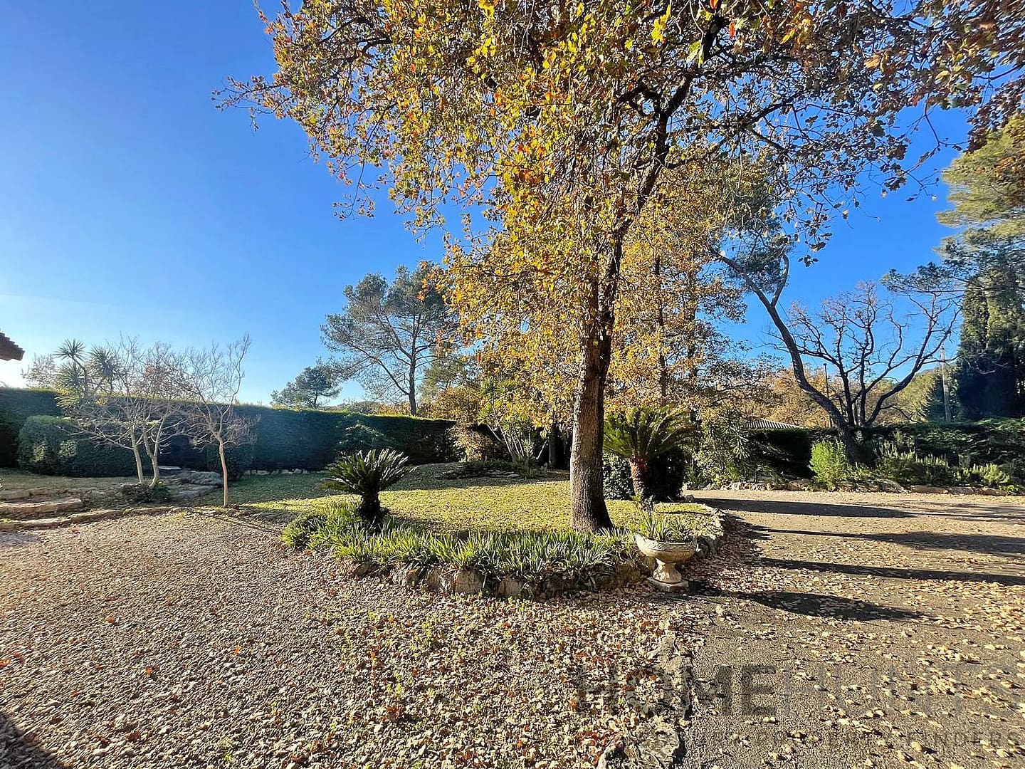 property_HH-15631202-16