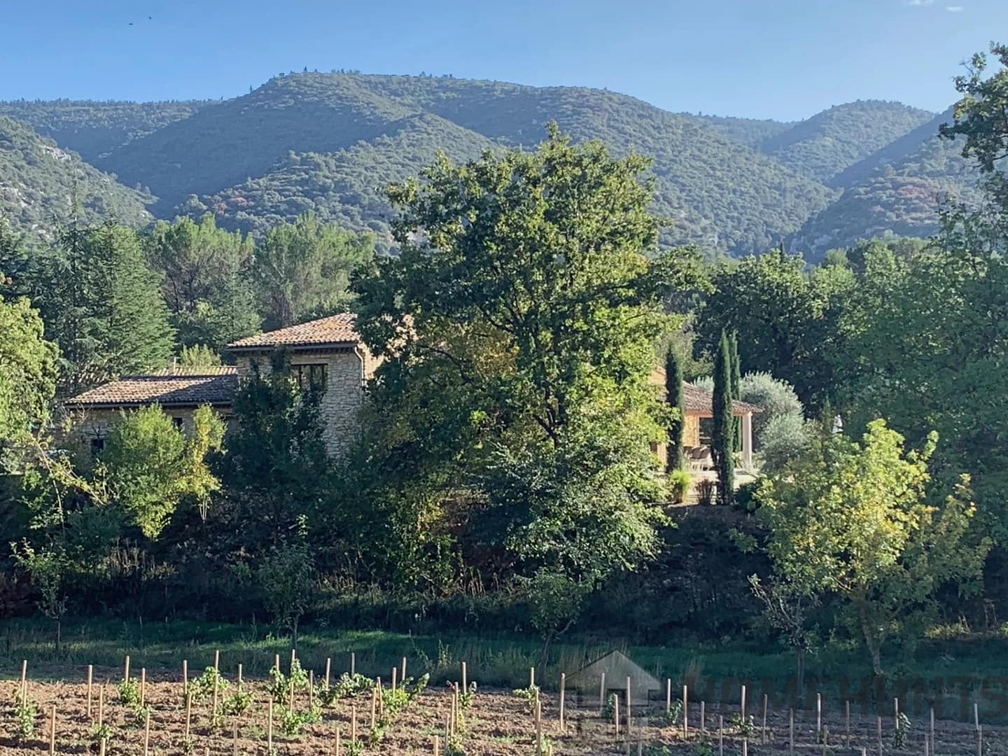 property_HH-15701241-11