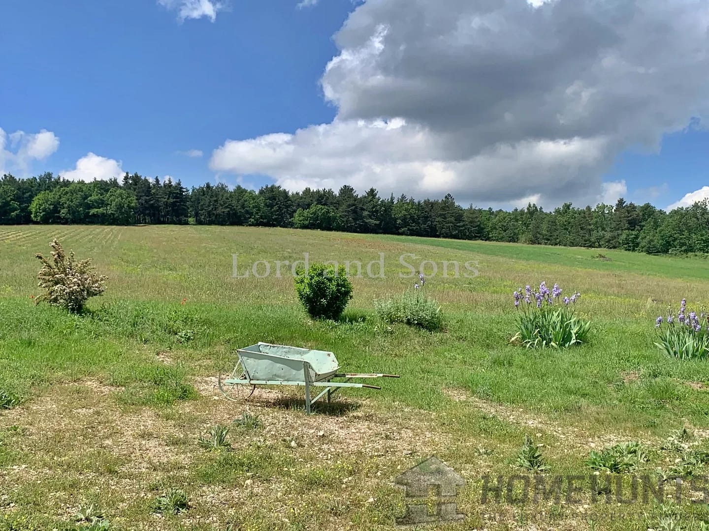 property_HH-15726747-12