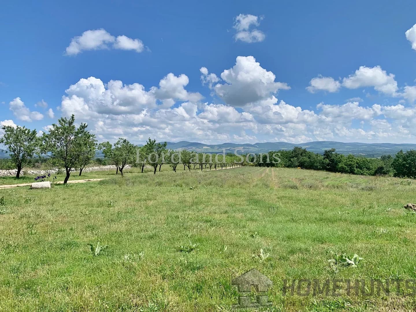 property_HH-15726747-13