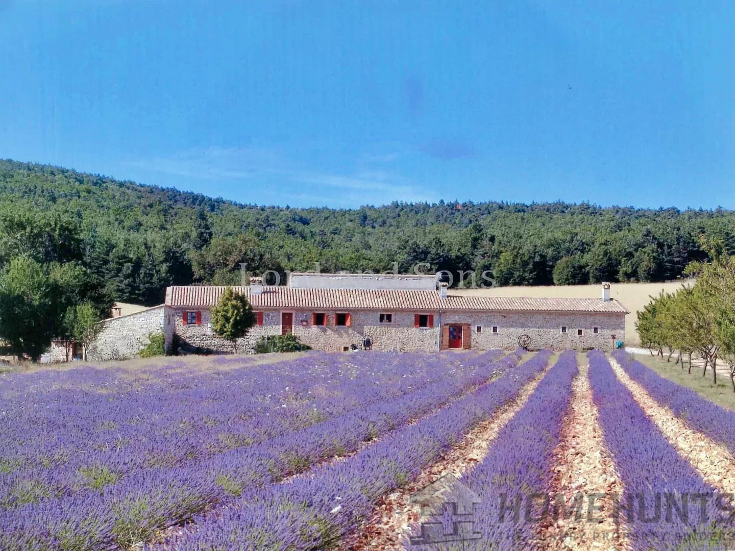 property_HH-15726747