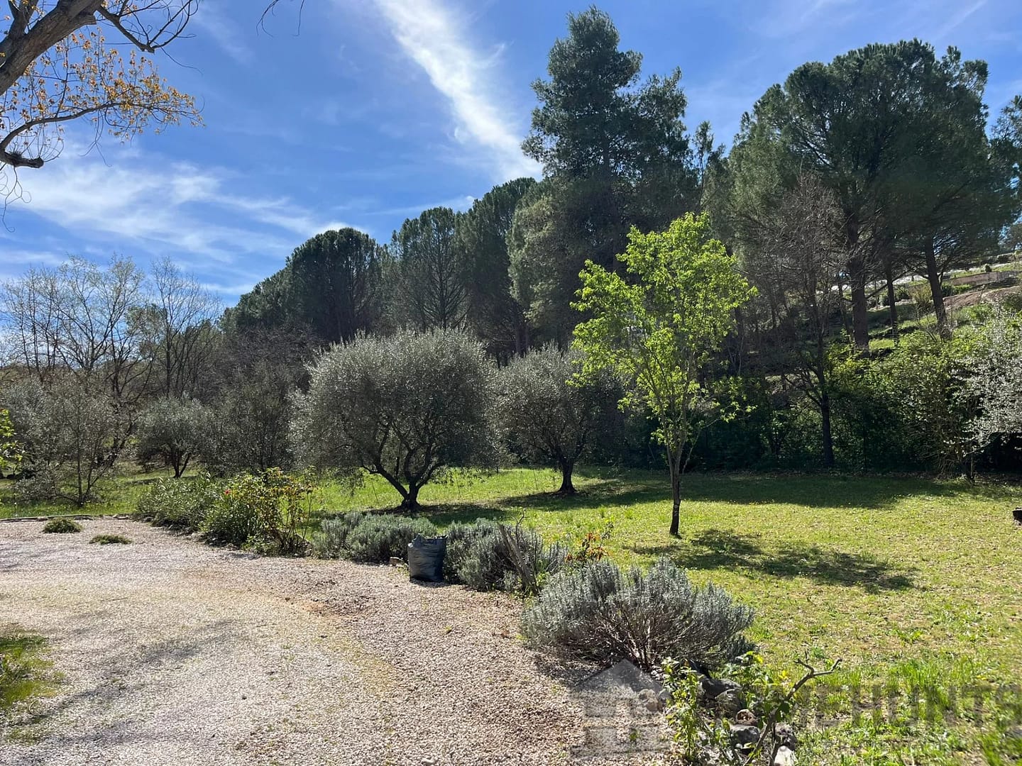 property_HH-15348931-21