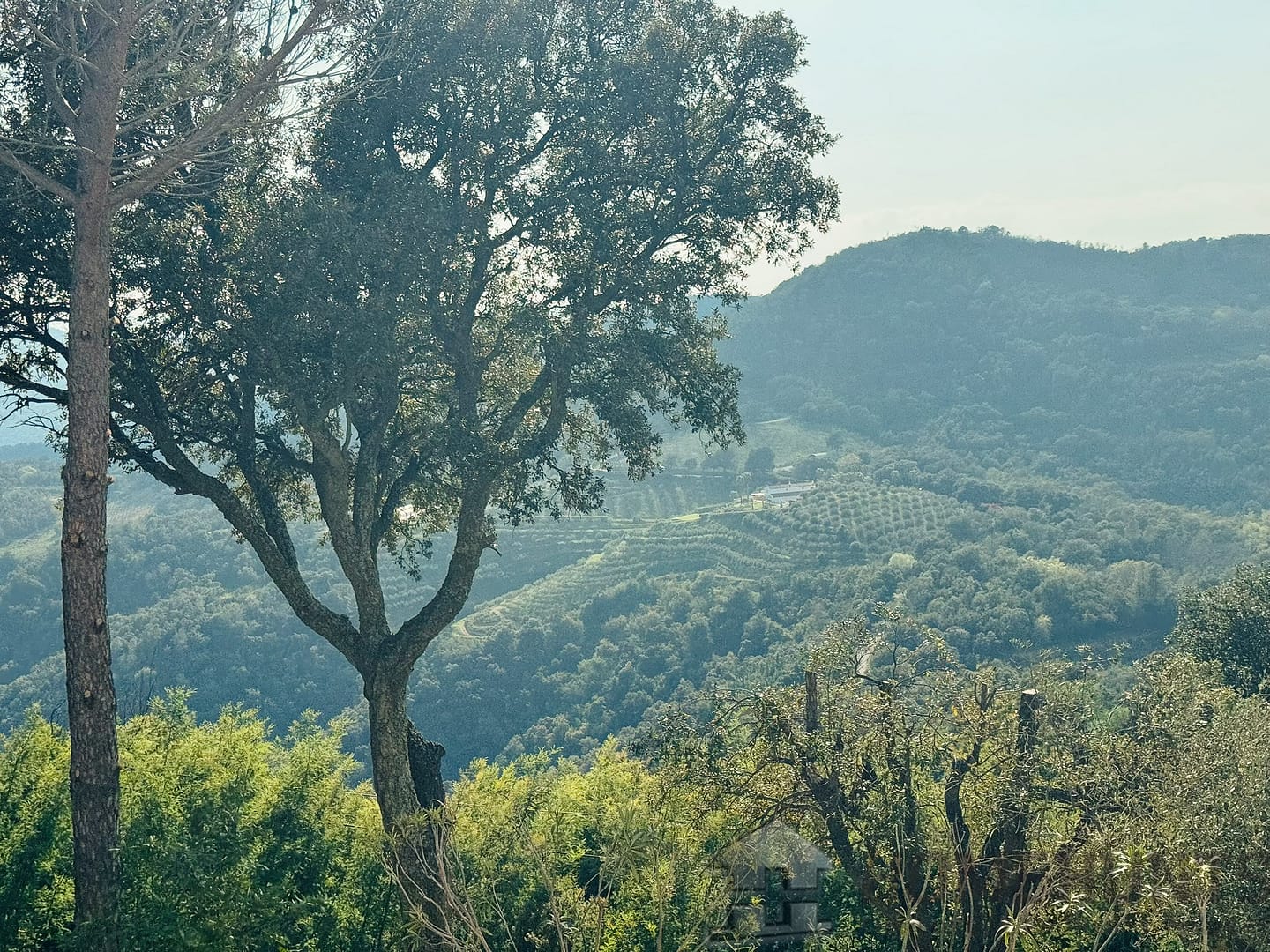 property_HH-15791964-28