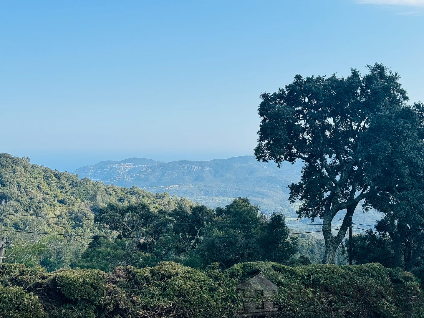 property_HH-15791964-29