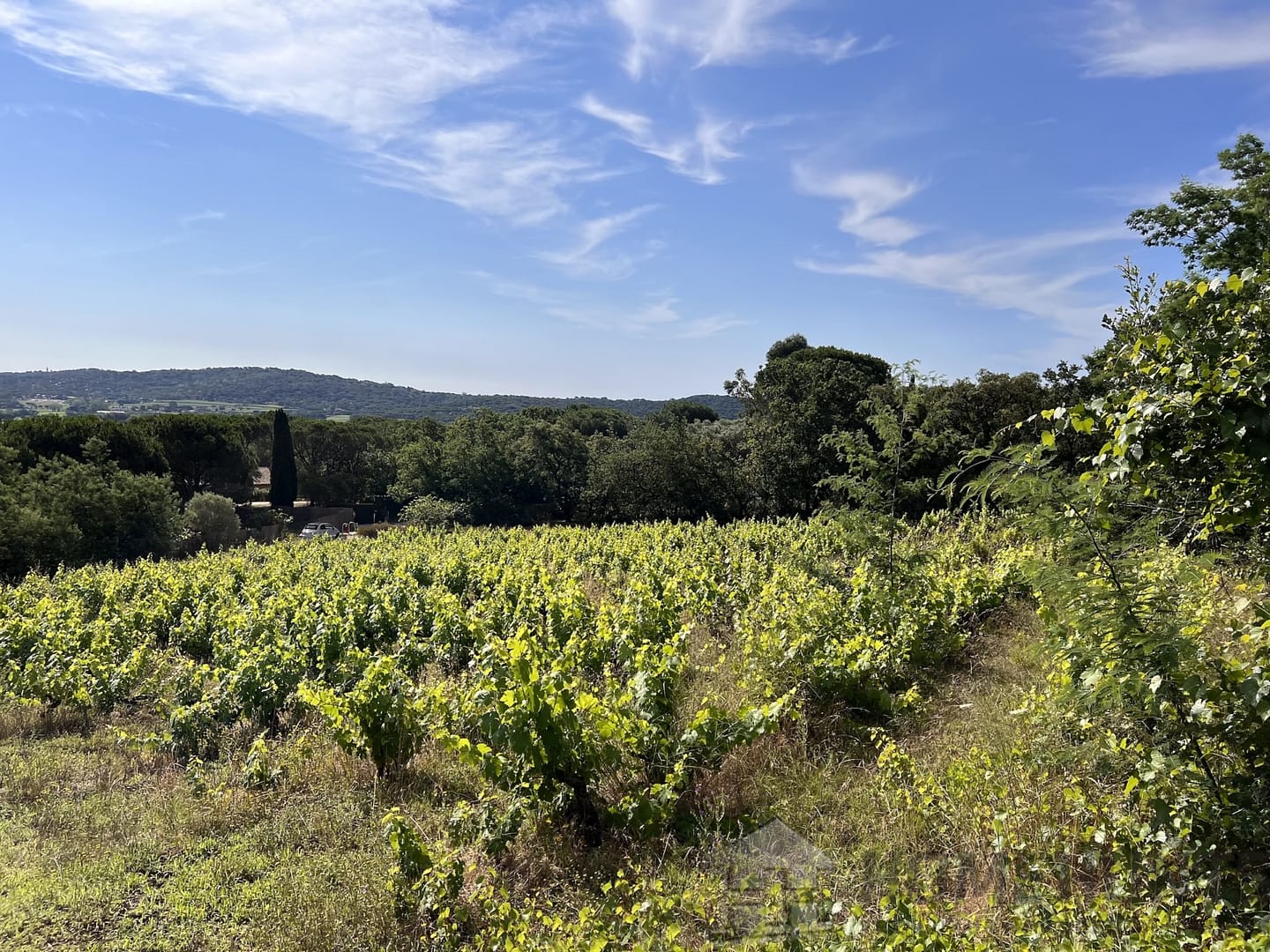 property_HH-15016668-10