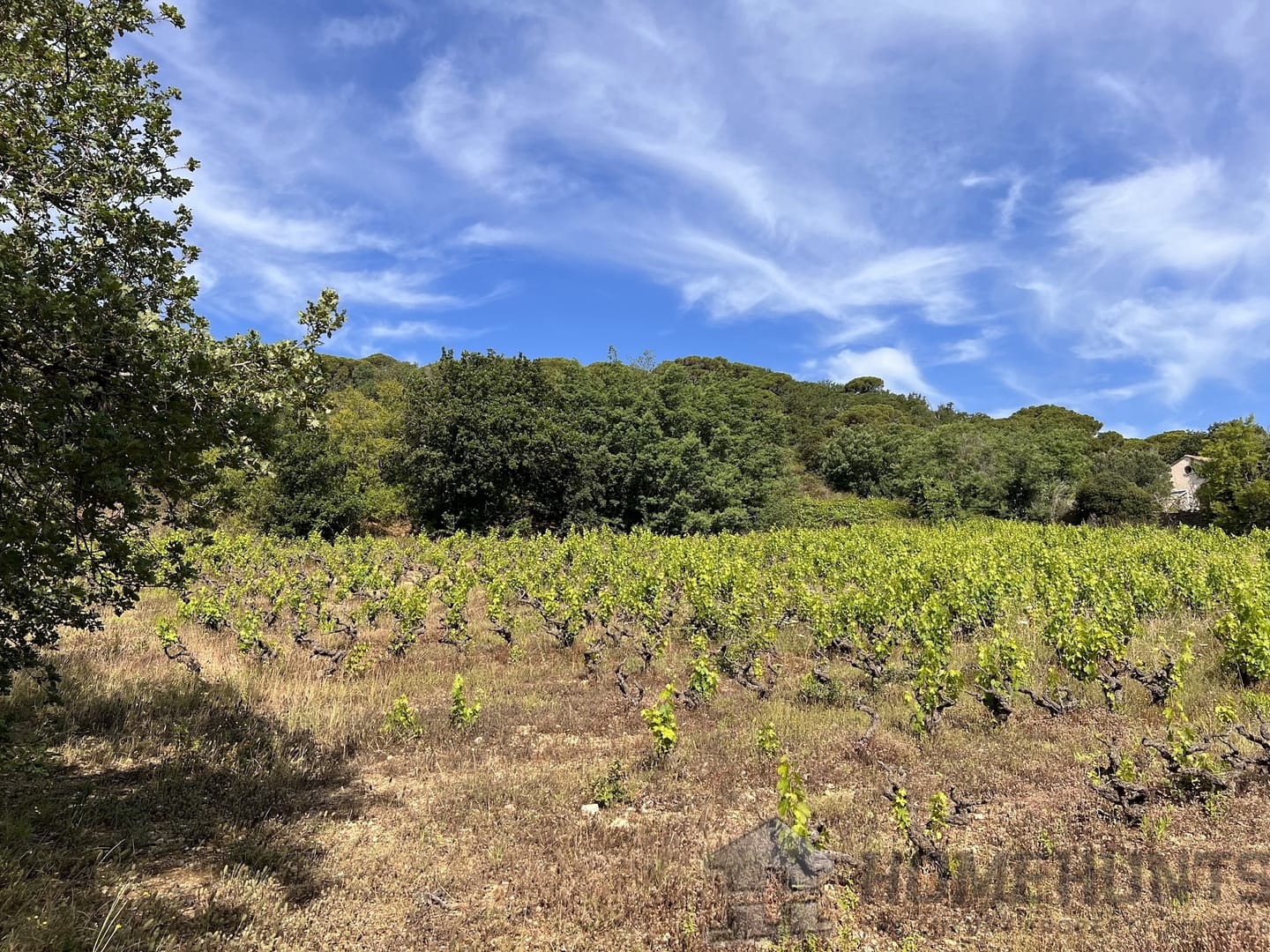 property_HH-15016668-5