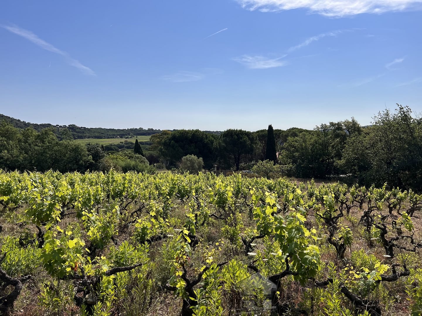 property_HH-15016668-7