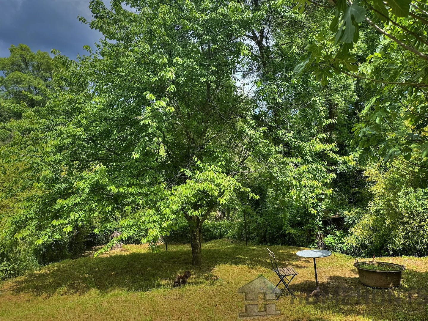 property_HH-15800006-6