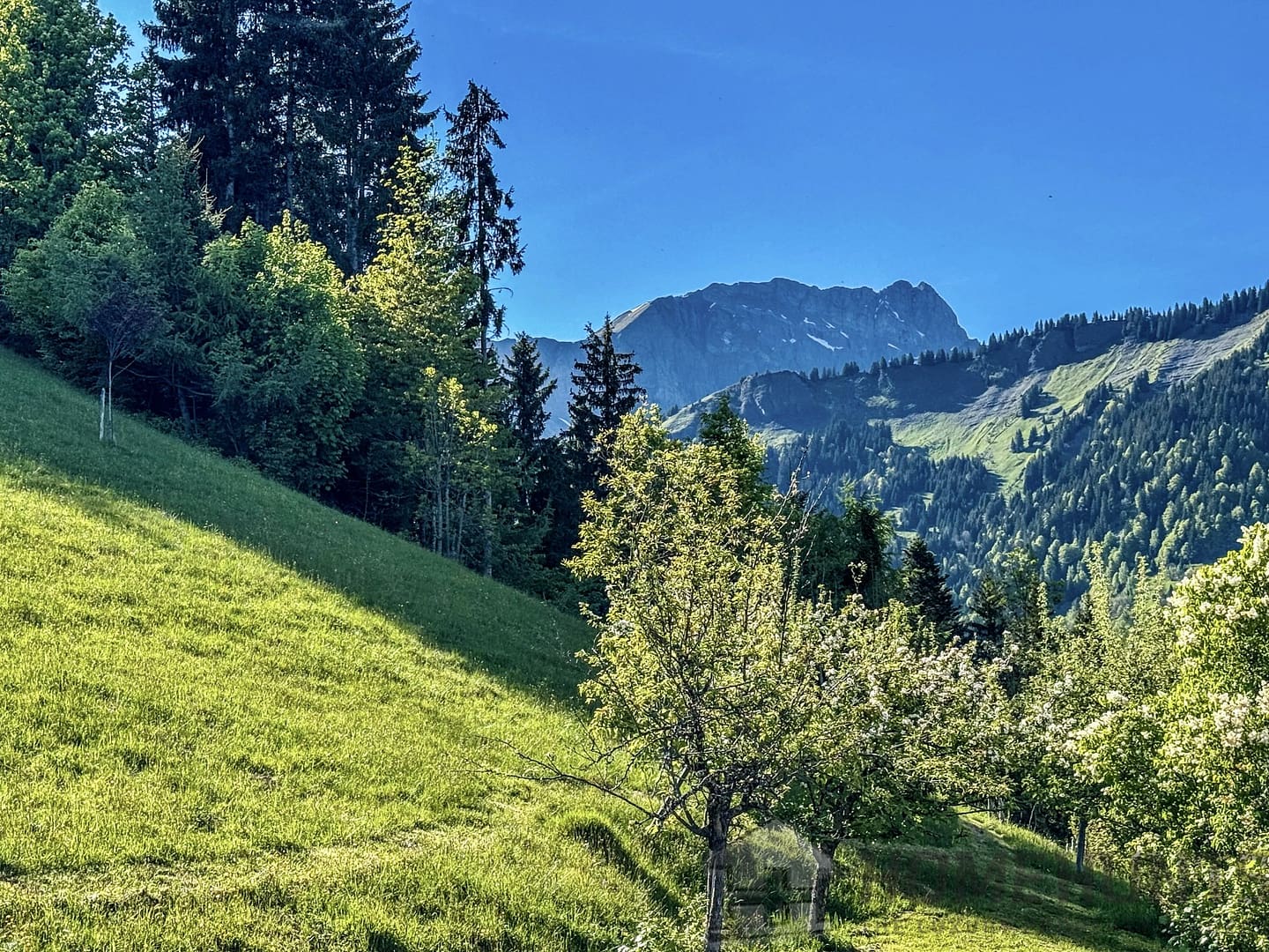 property_HH-15803526-21