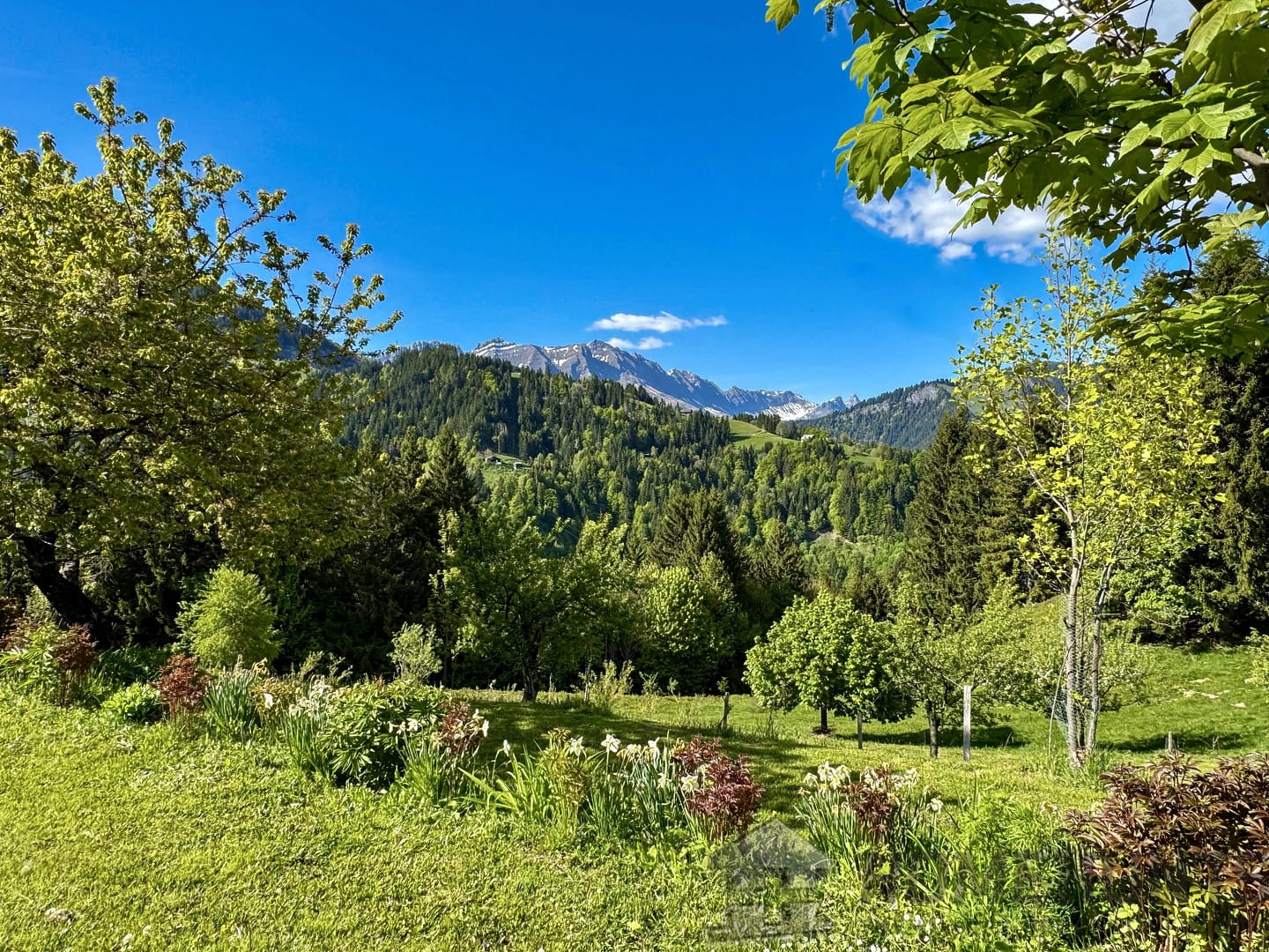 property_HH-15803526-7