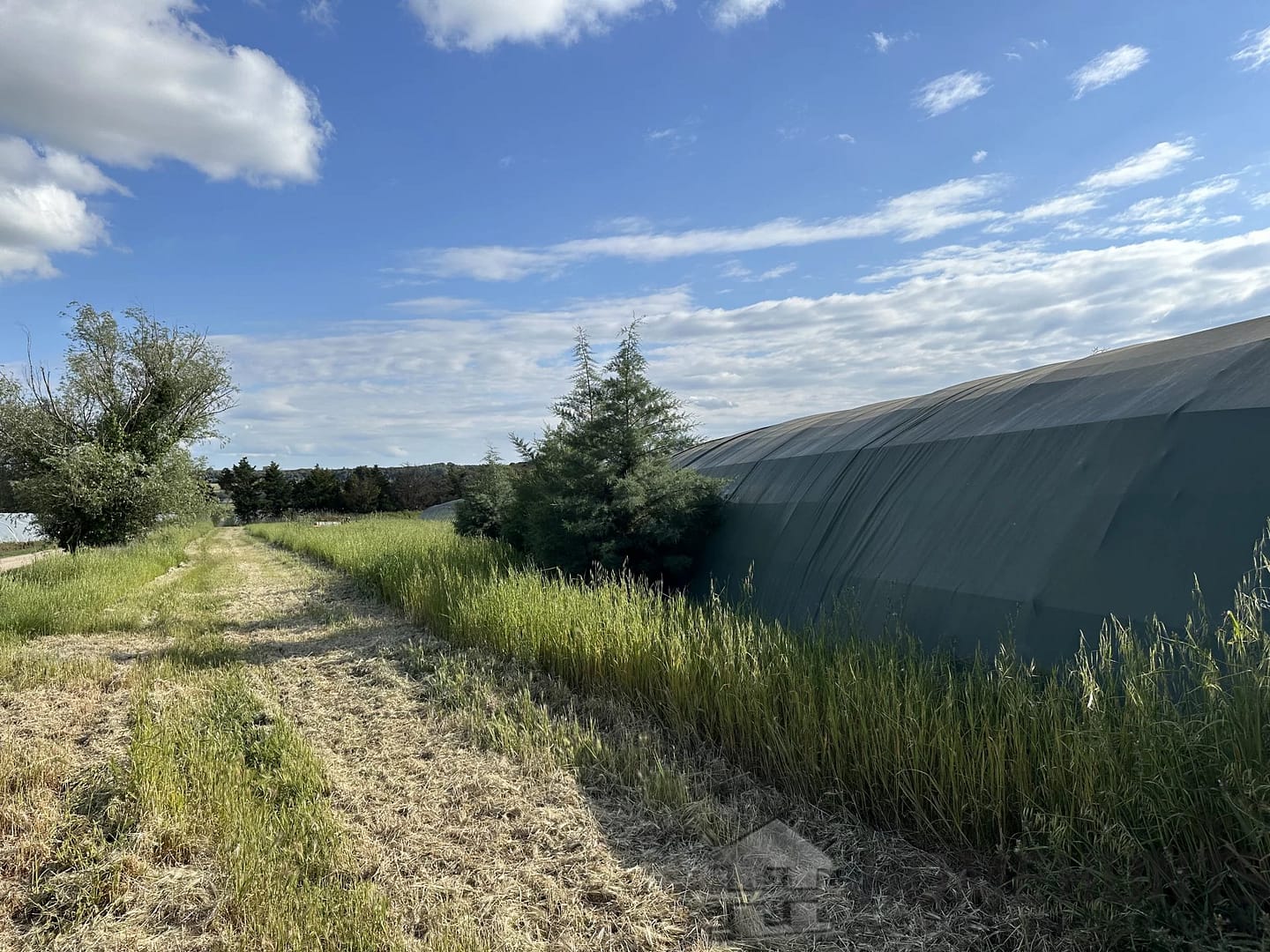 property_HH-15900200-25