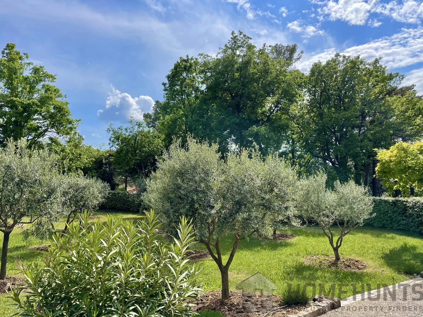 property_HH-15916226-16