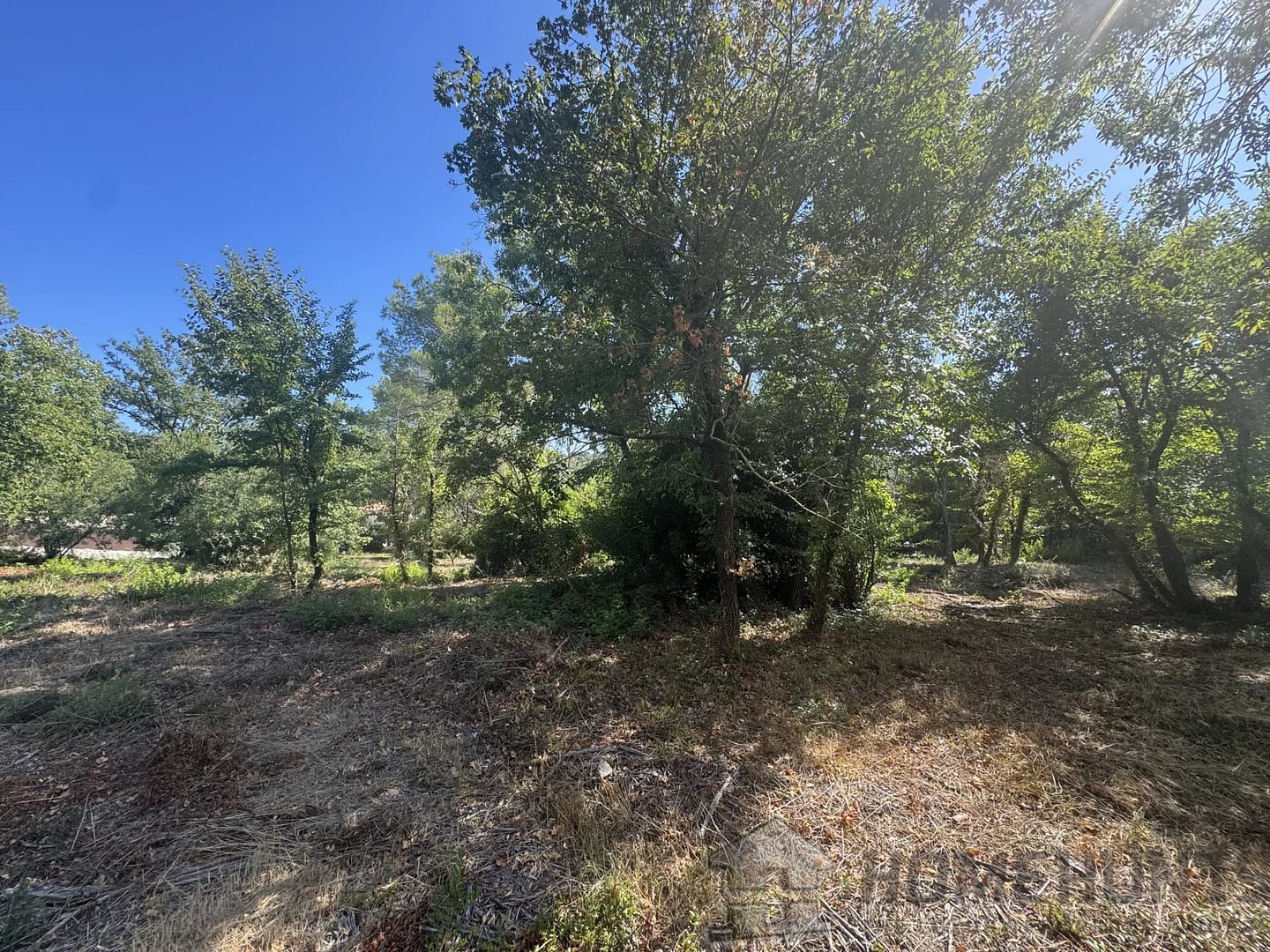 property_HH-15925791-2