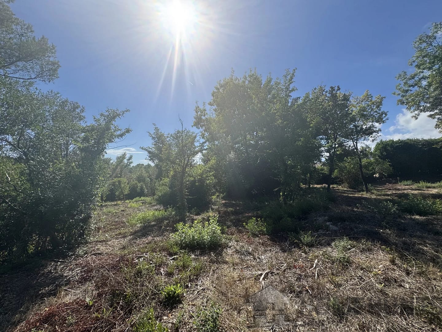 property_HH-15925791-4