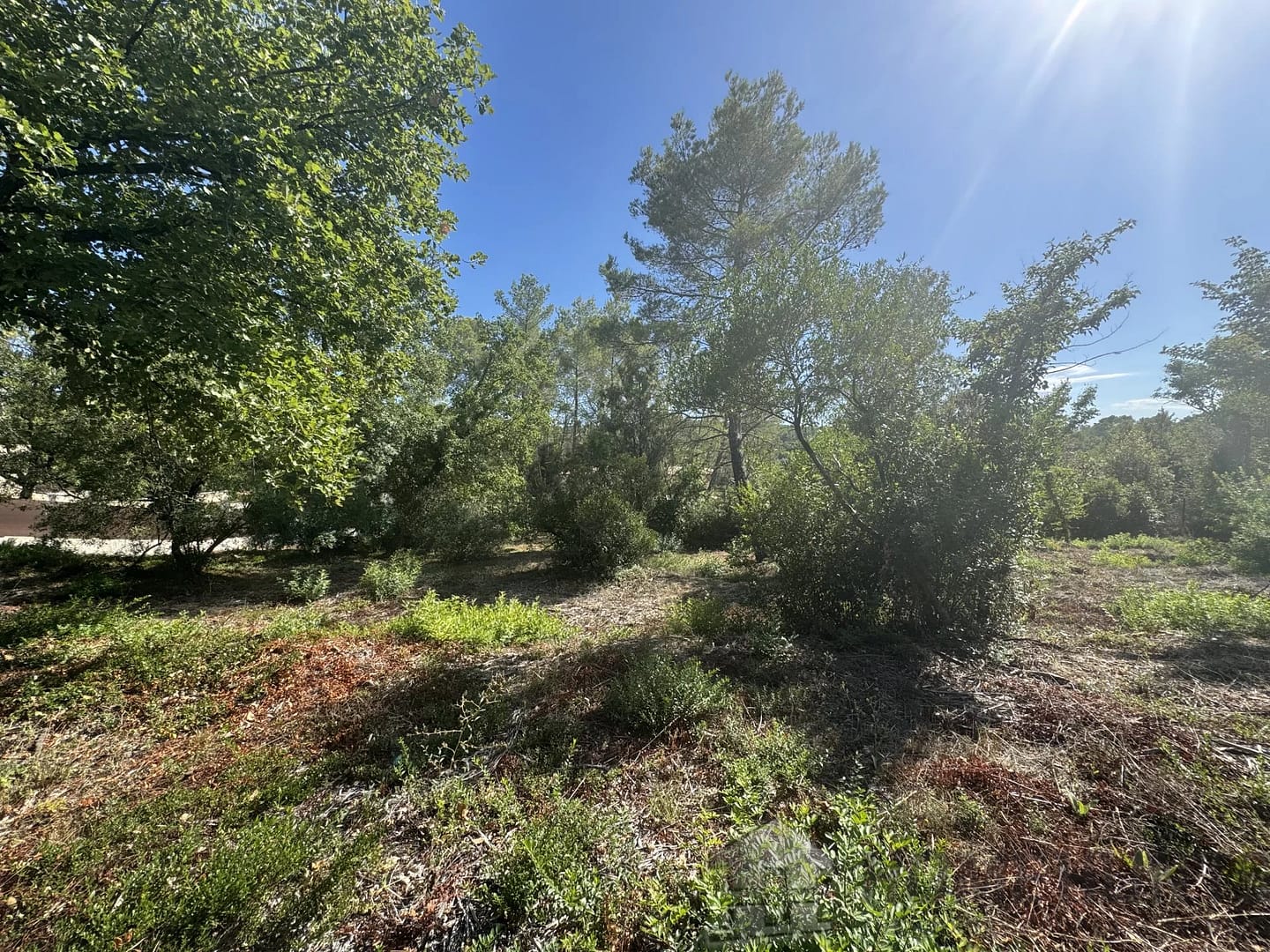 property_HH-15925791-5