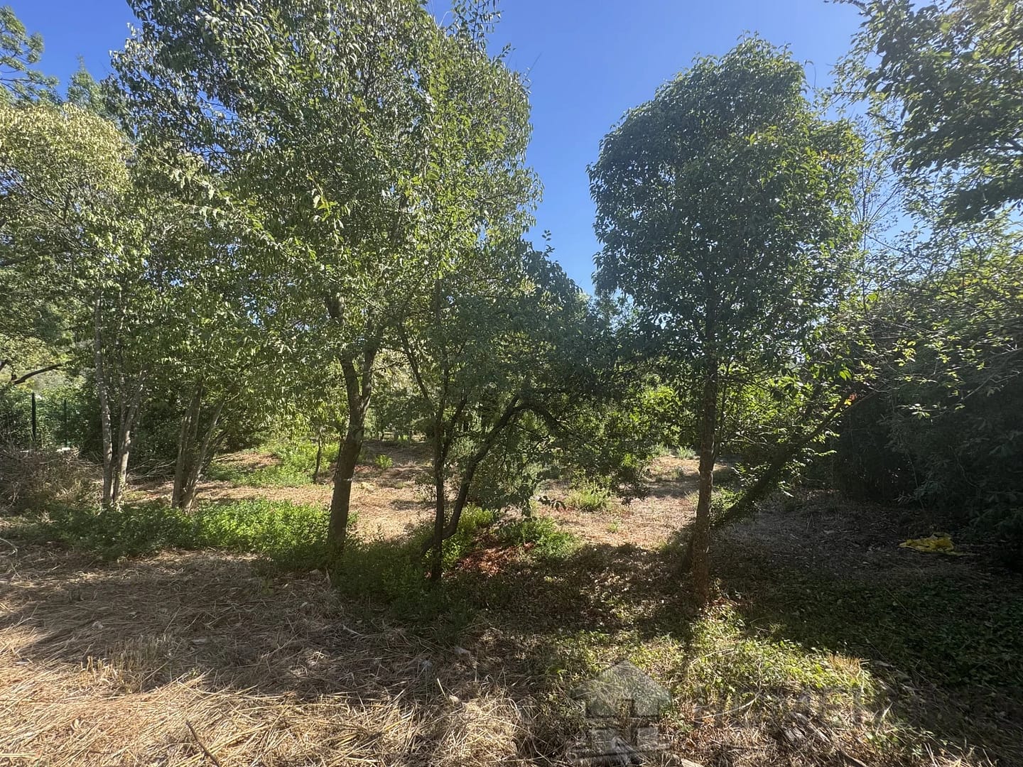 property_HH-15925791-6