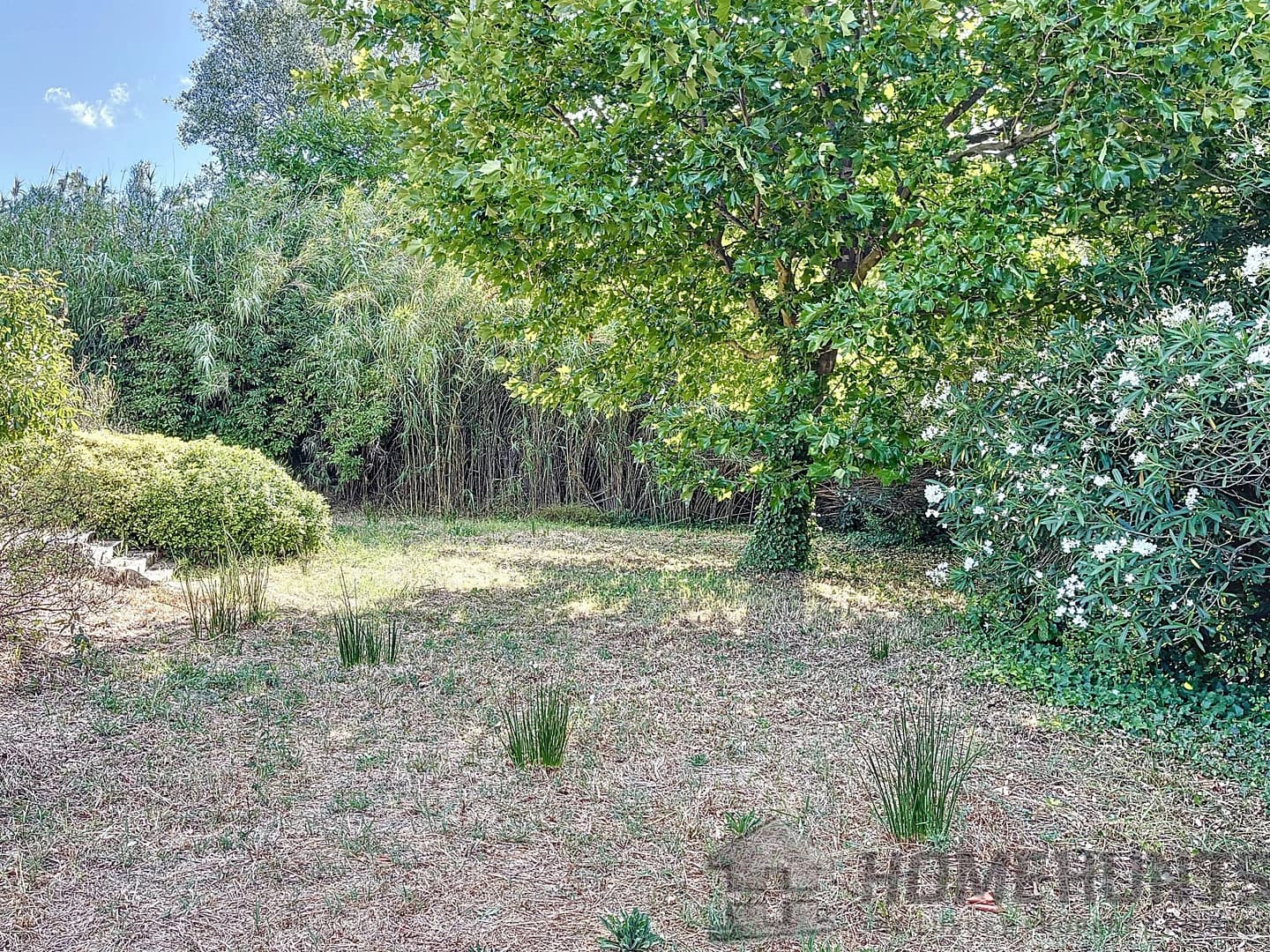 property_HH-15857898-4