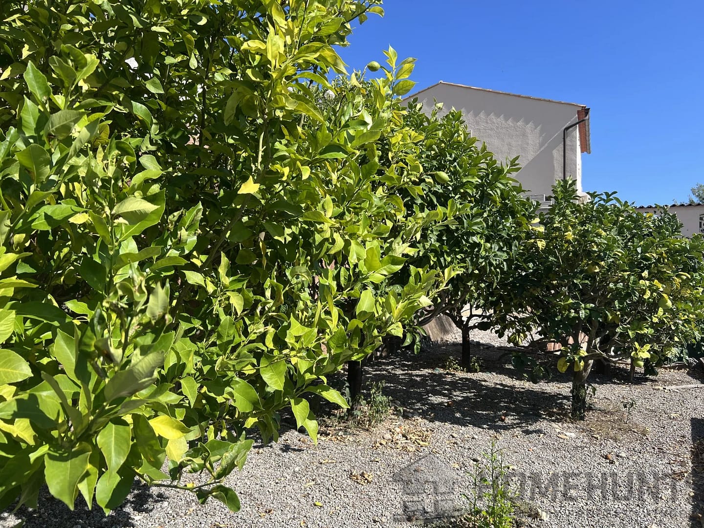 property_HH-15933090-23