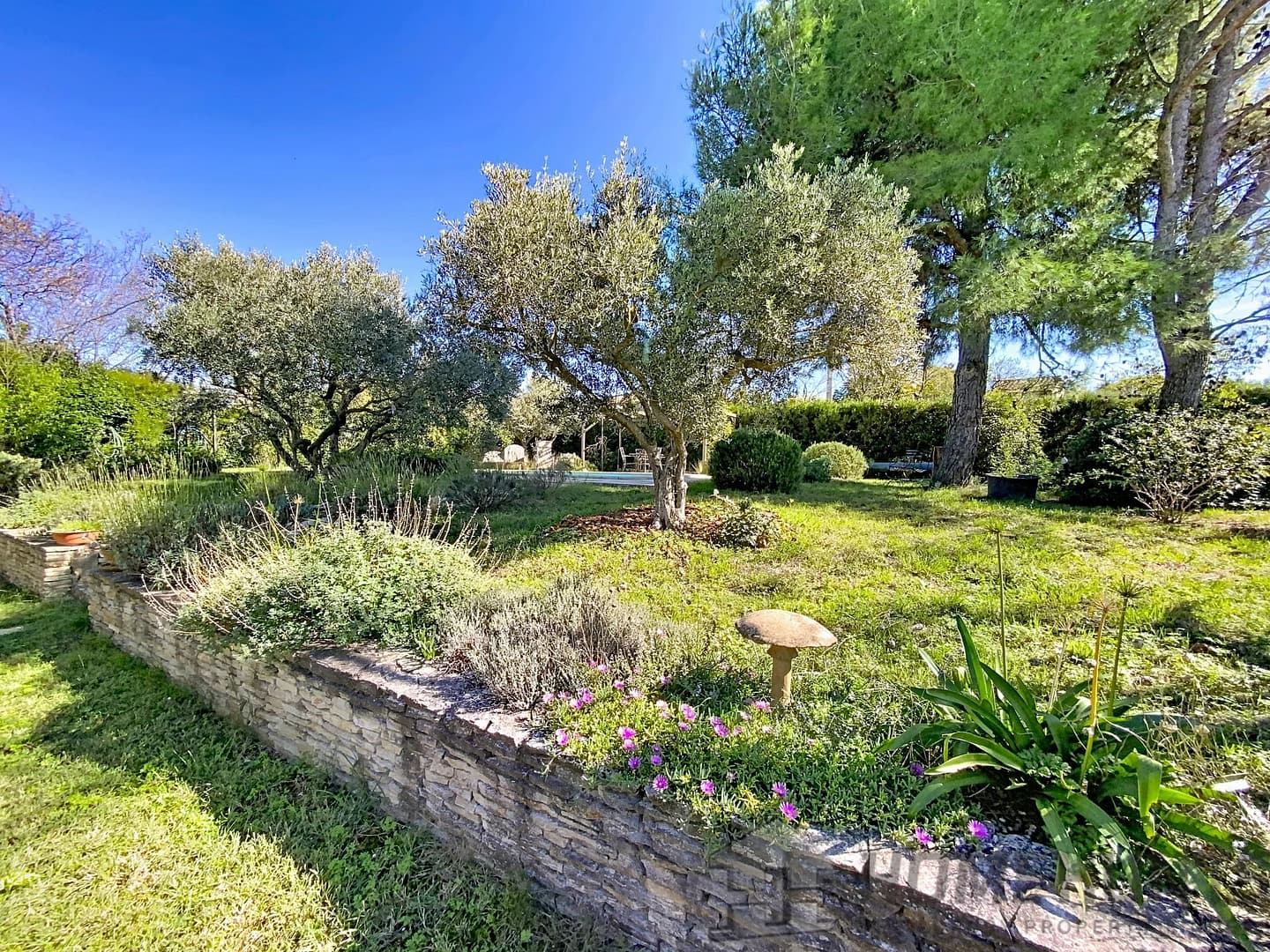 property_HH-15958244-2