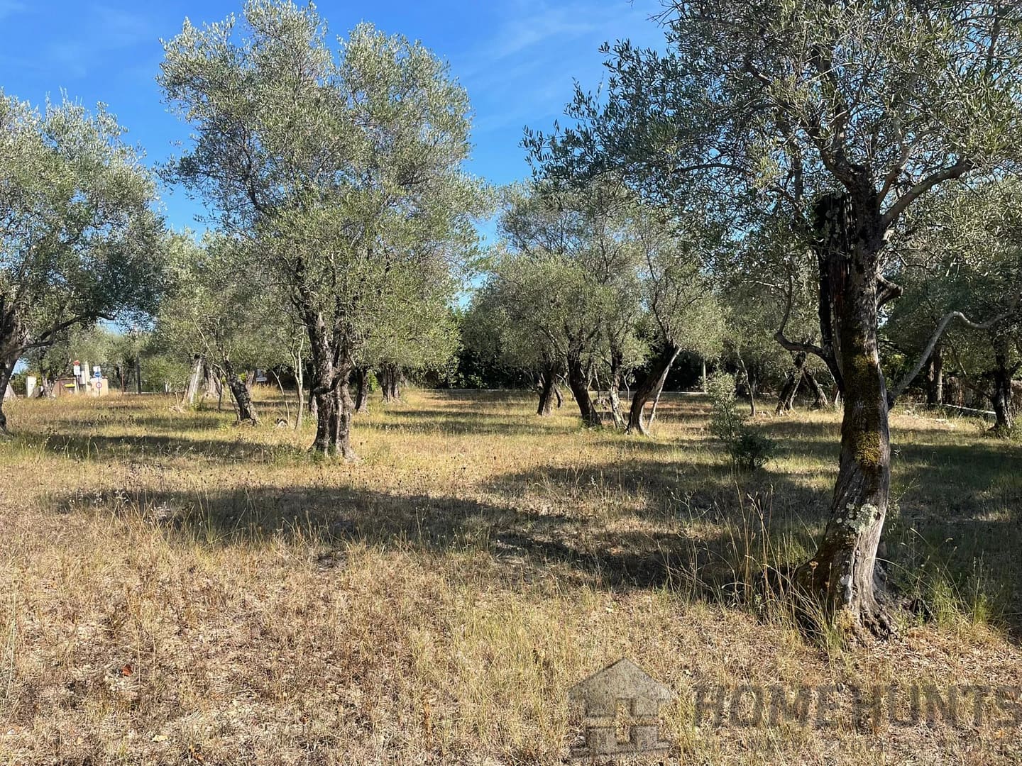 property_HH-15968456-3