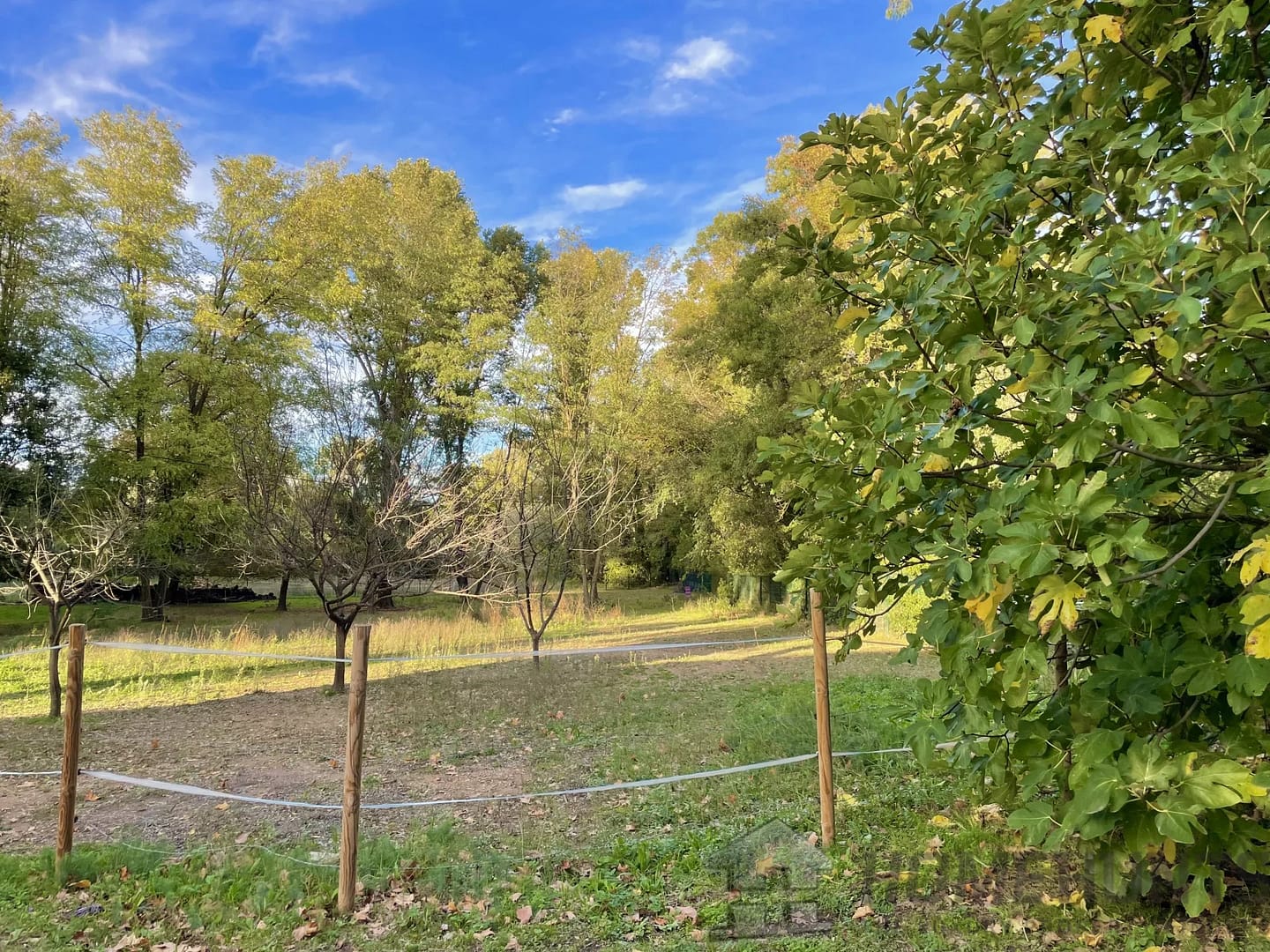 property_HH-15976286-23