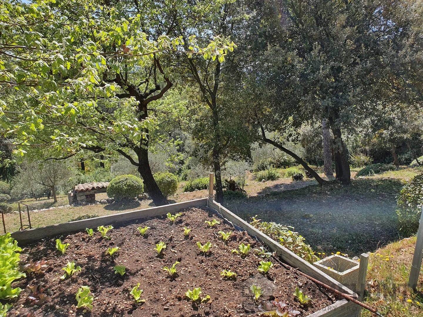 property_HH-15990618-22