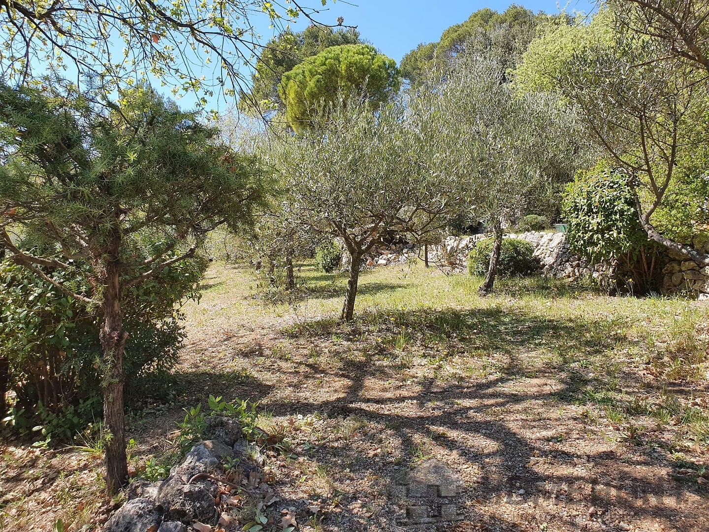 property_HH-15990618-25