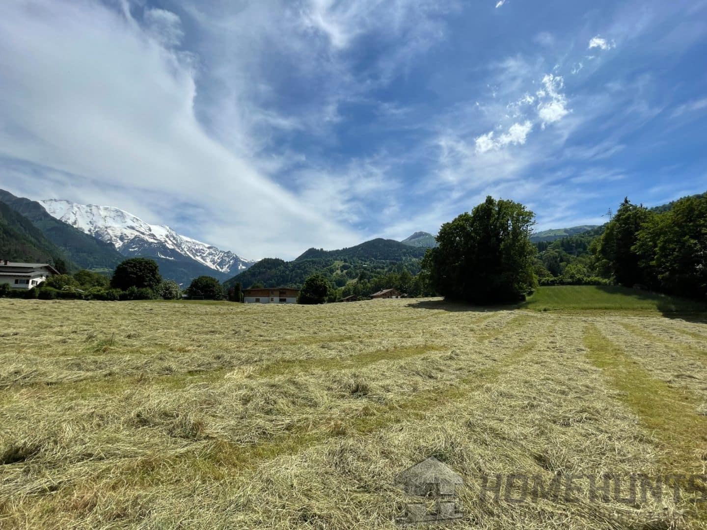 property_HH-15233531