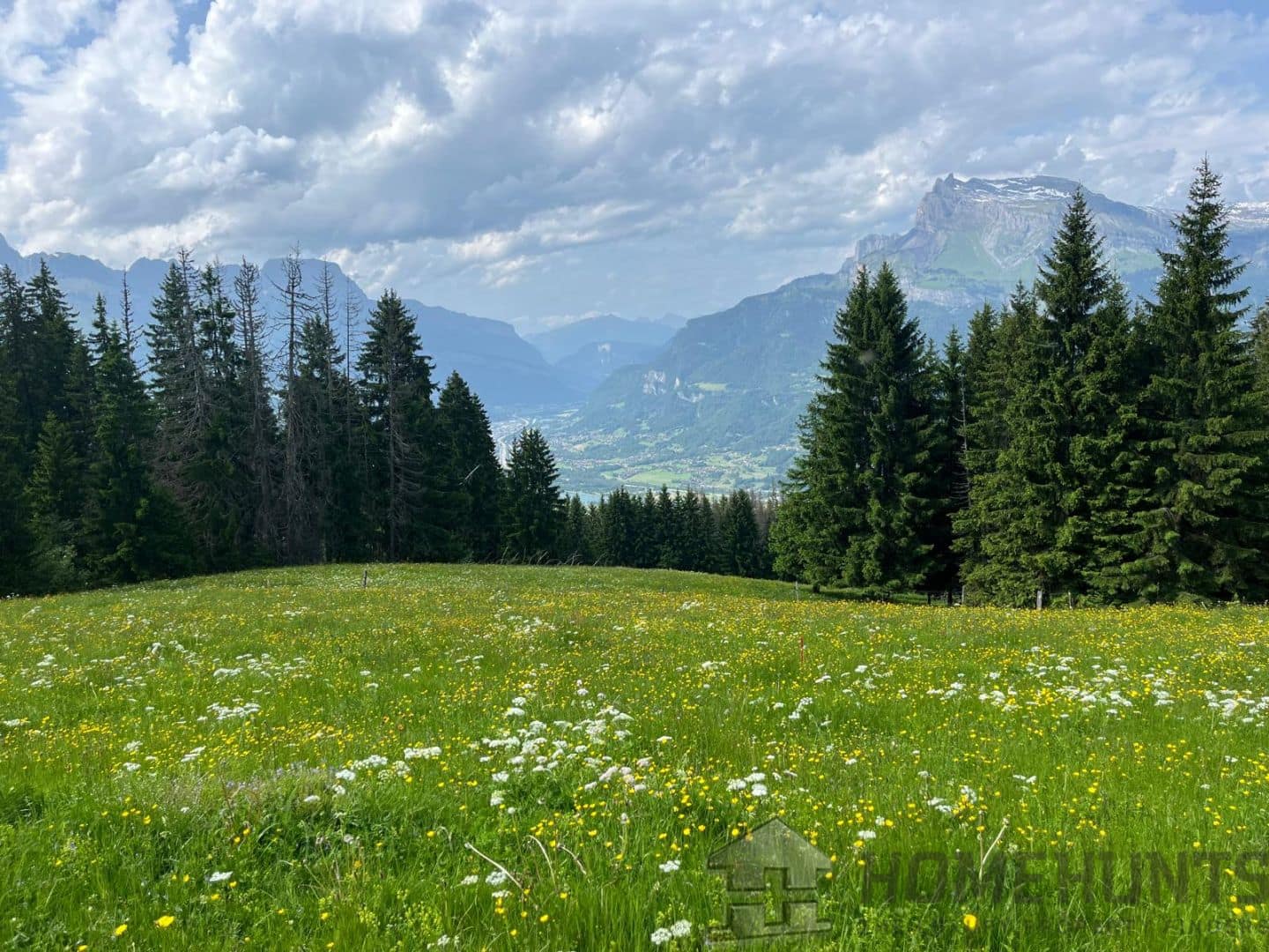 property_HH-15864042-6