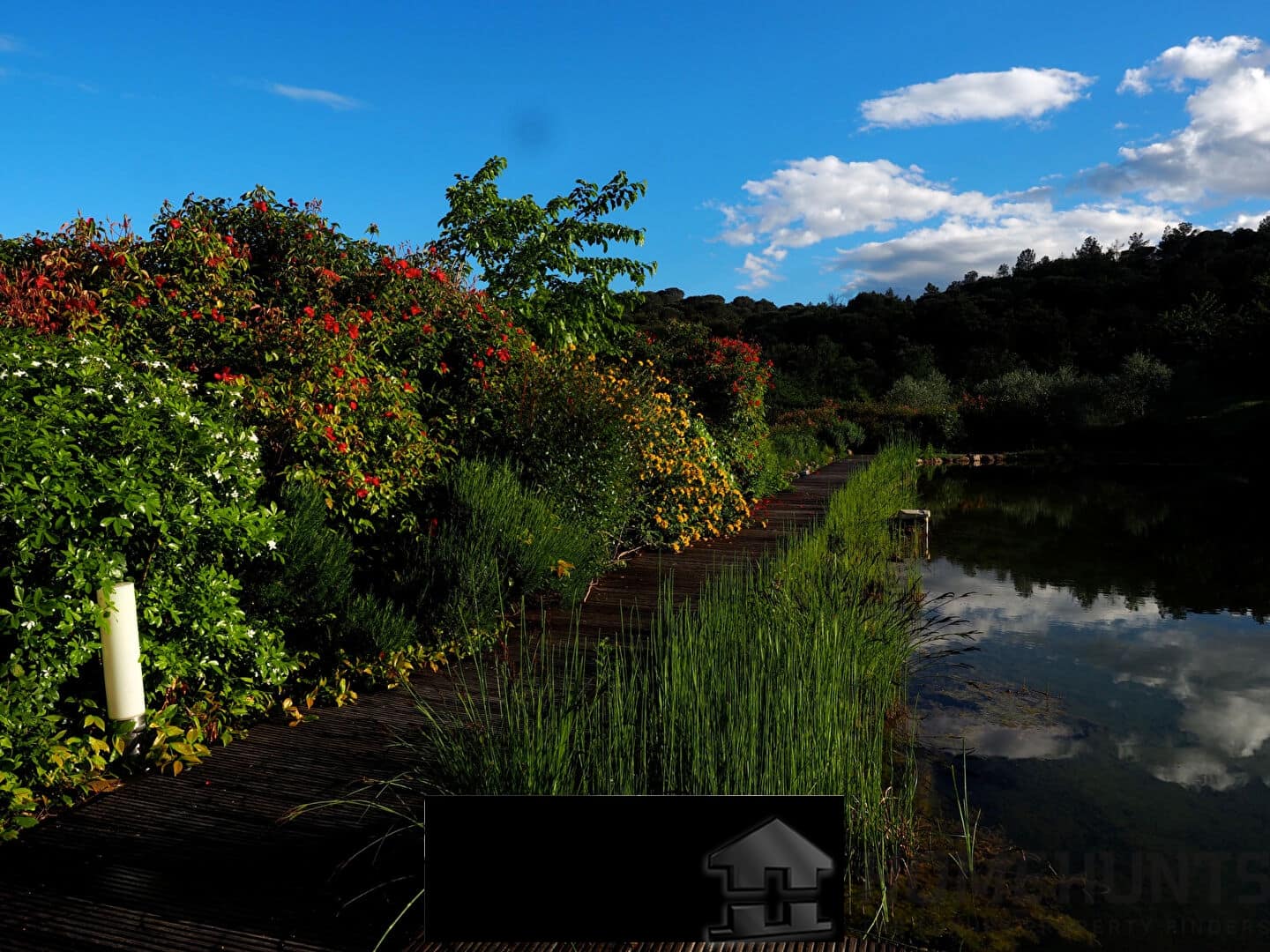 property_HH-16023898-7