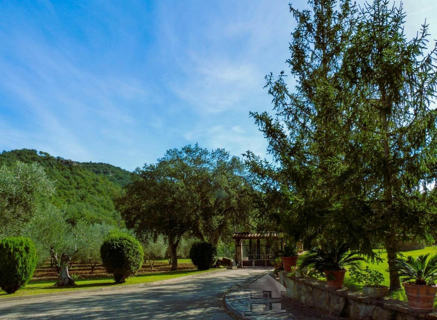 property_HH-15689342-2