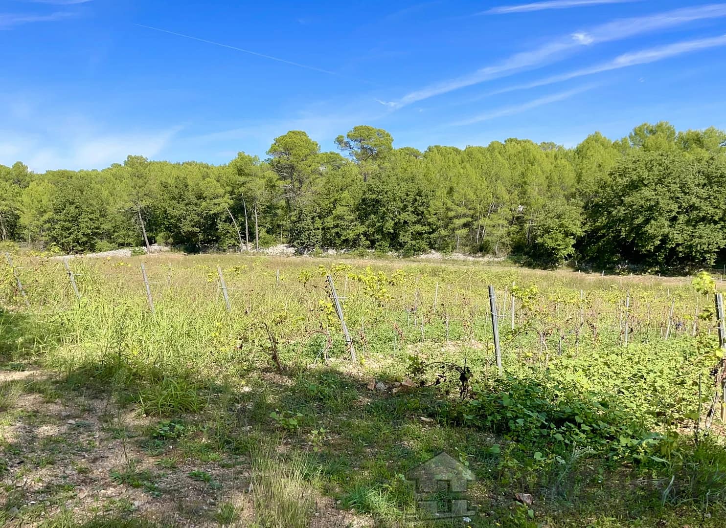 property_HH-15575396-20