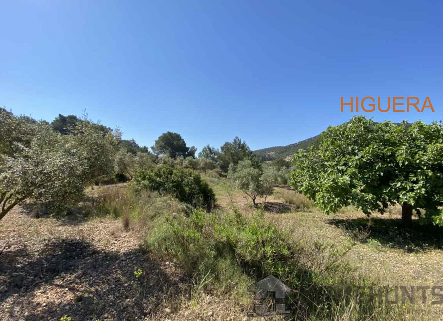 property_HH-15720654-6