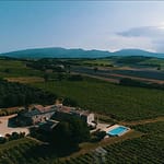 Vineyard in Orange 10