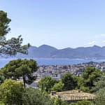 Land in Cannes 8