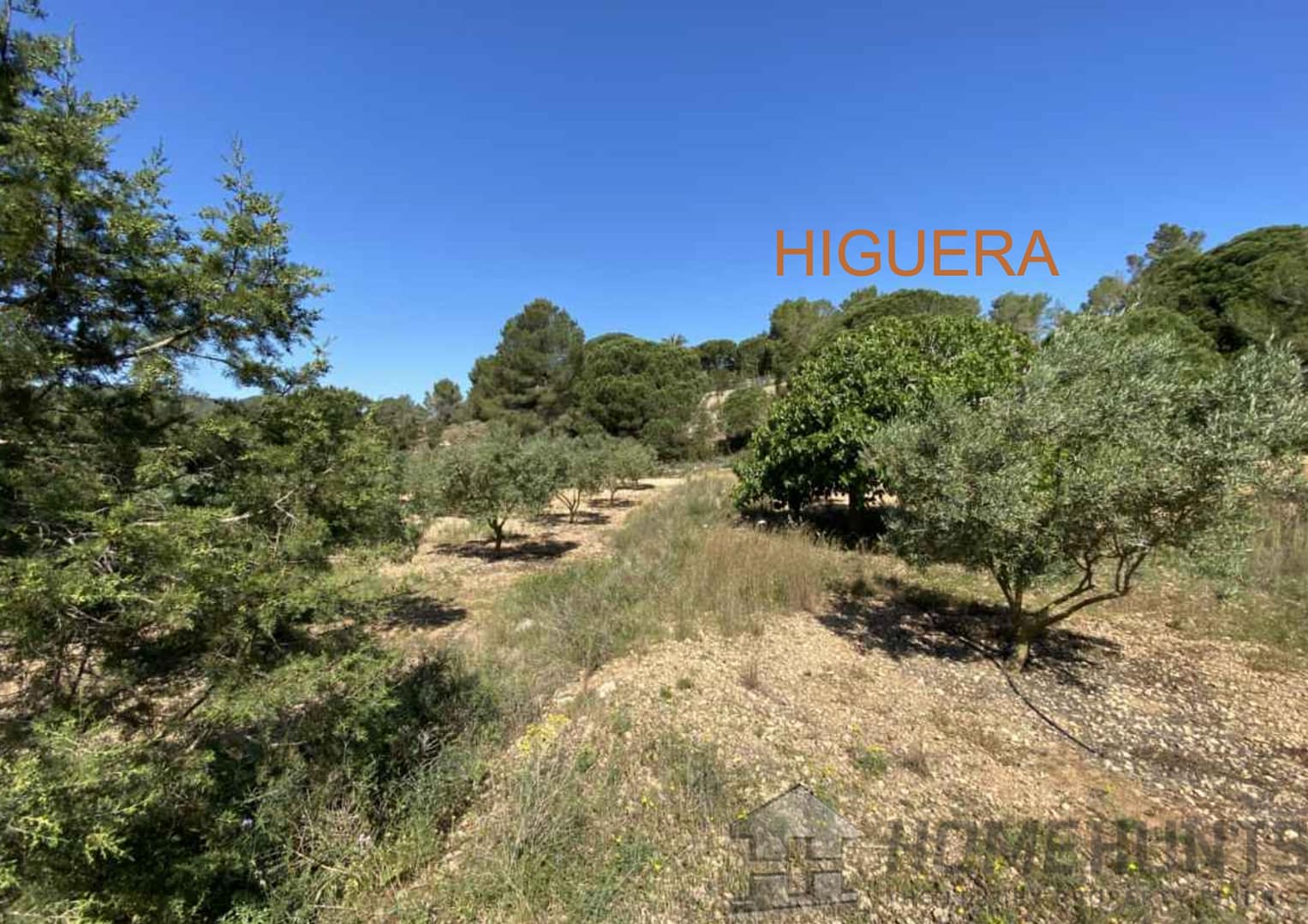 property_HH-15720654-2