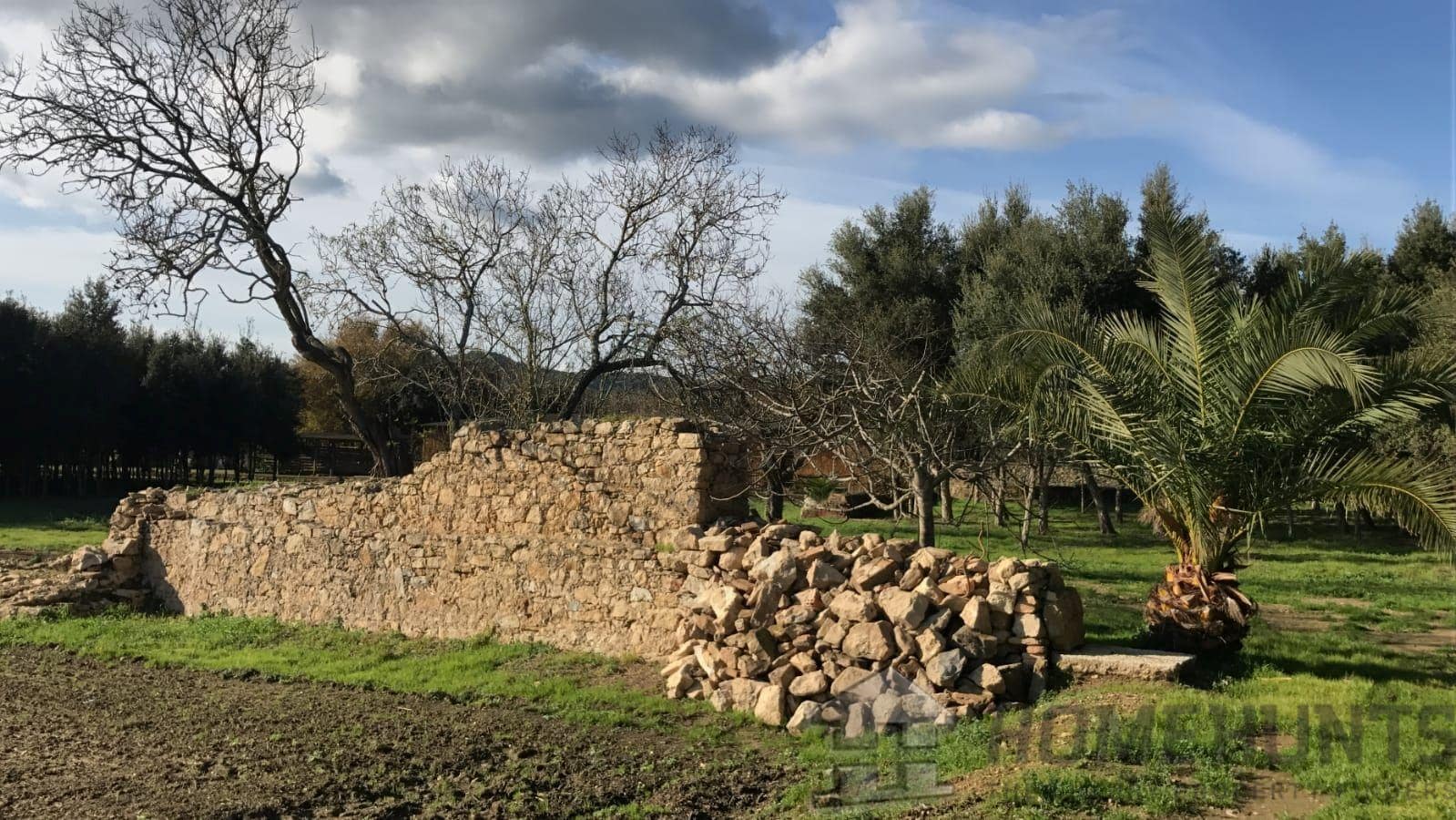 property_HH-15237104-23