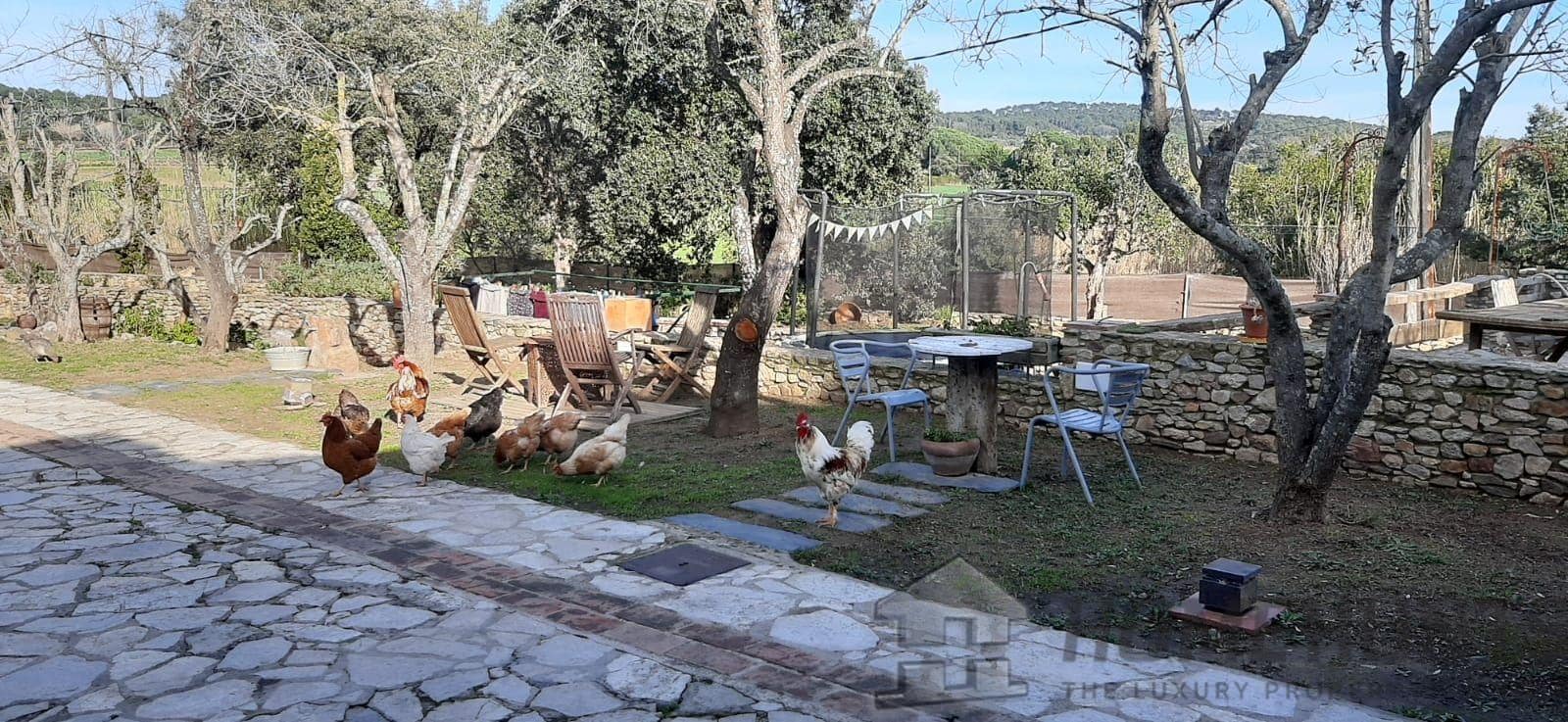 property_HH-15267433-9