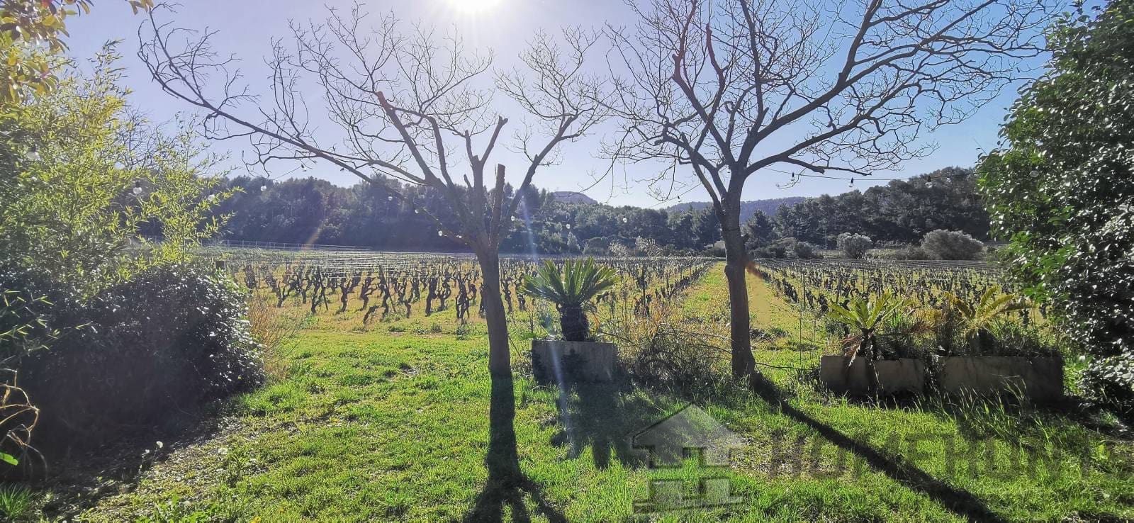 property_HH-15745398