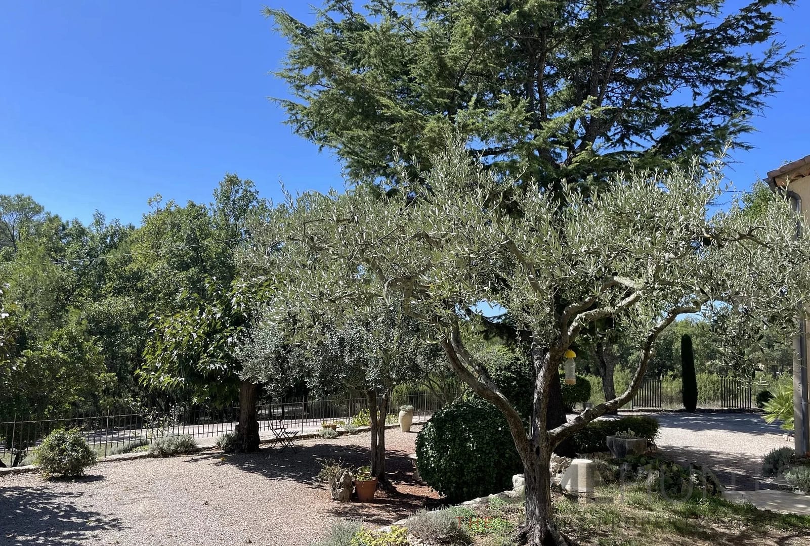 property_HH-15520037-23