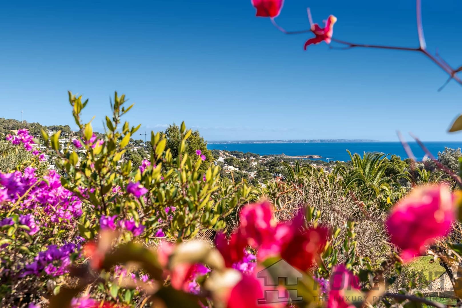 property_HH-15731525-26