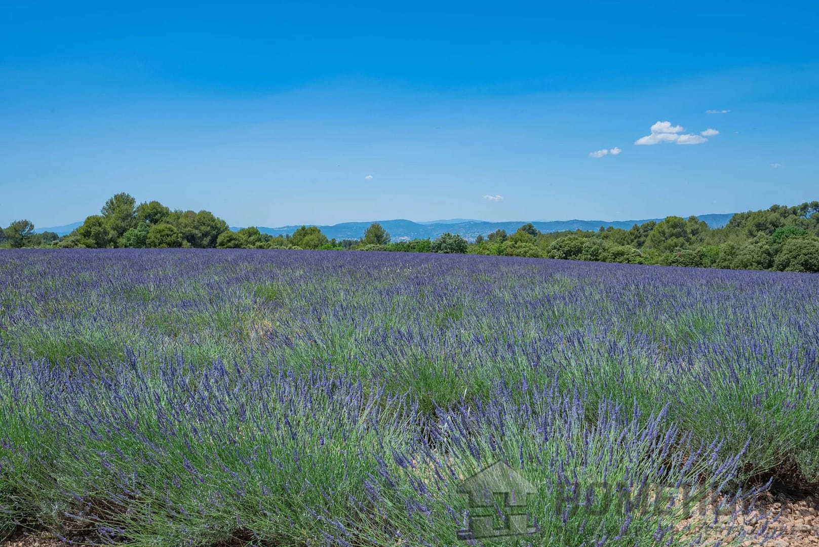 property_HH-15727768-22