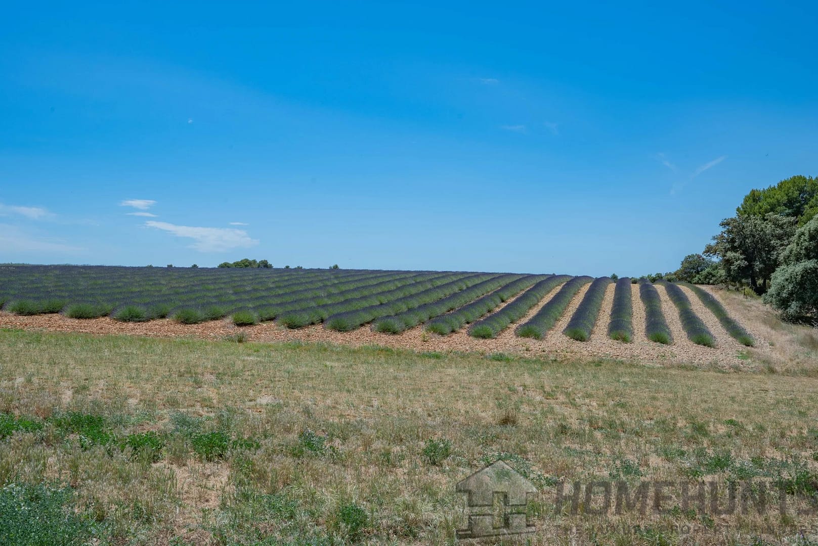 property_HH-15727768-4