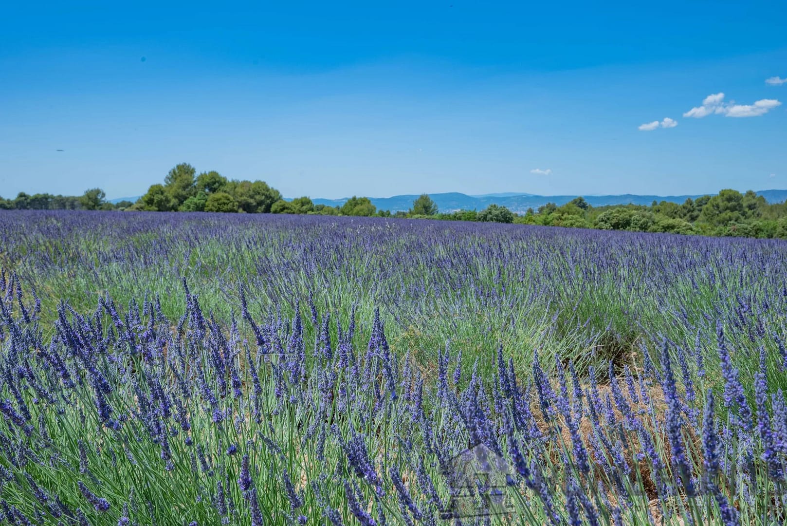 property_HH-15727768-5