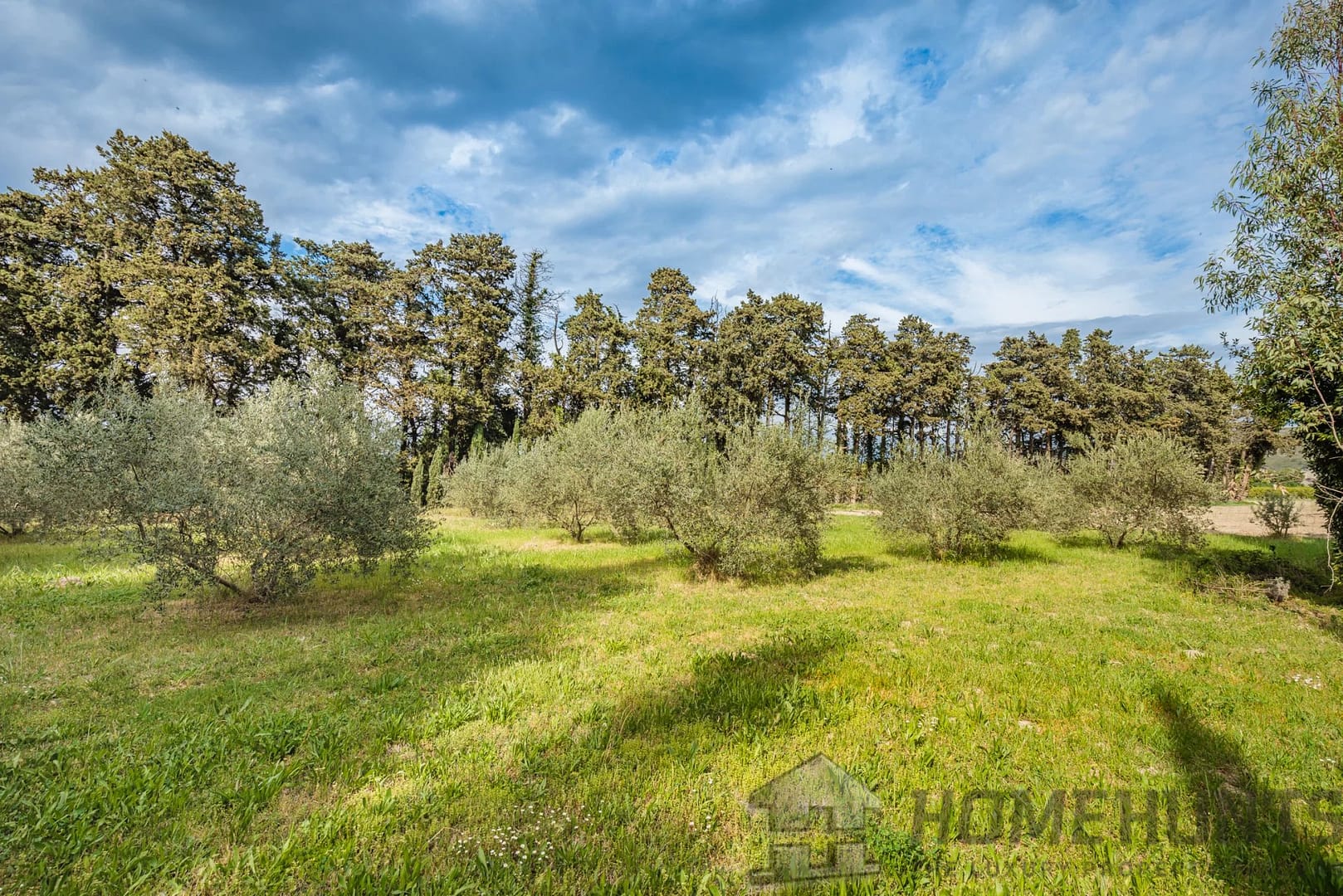 property_HH-14890973-9