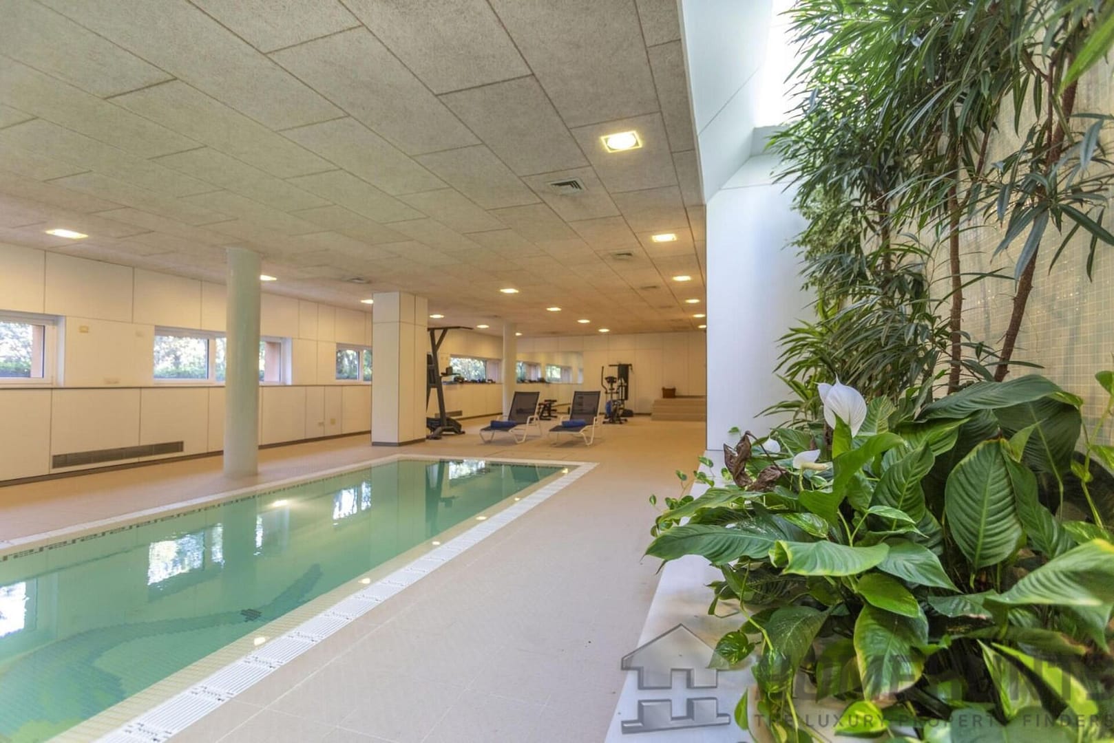 property_HH-15568384-19