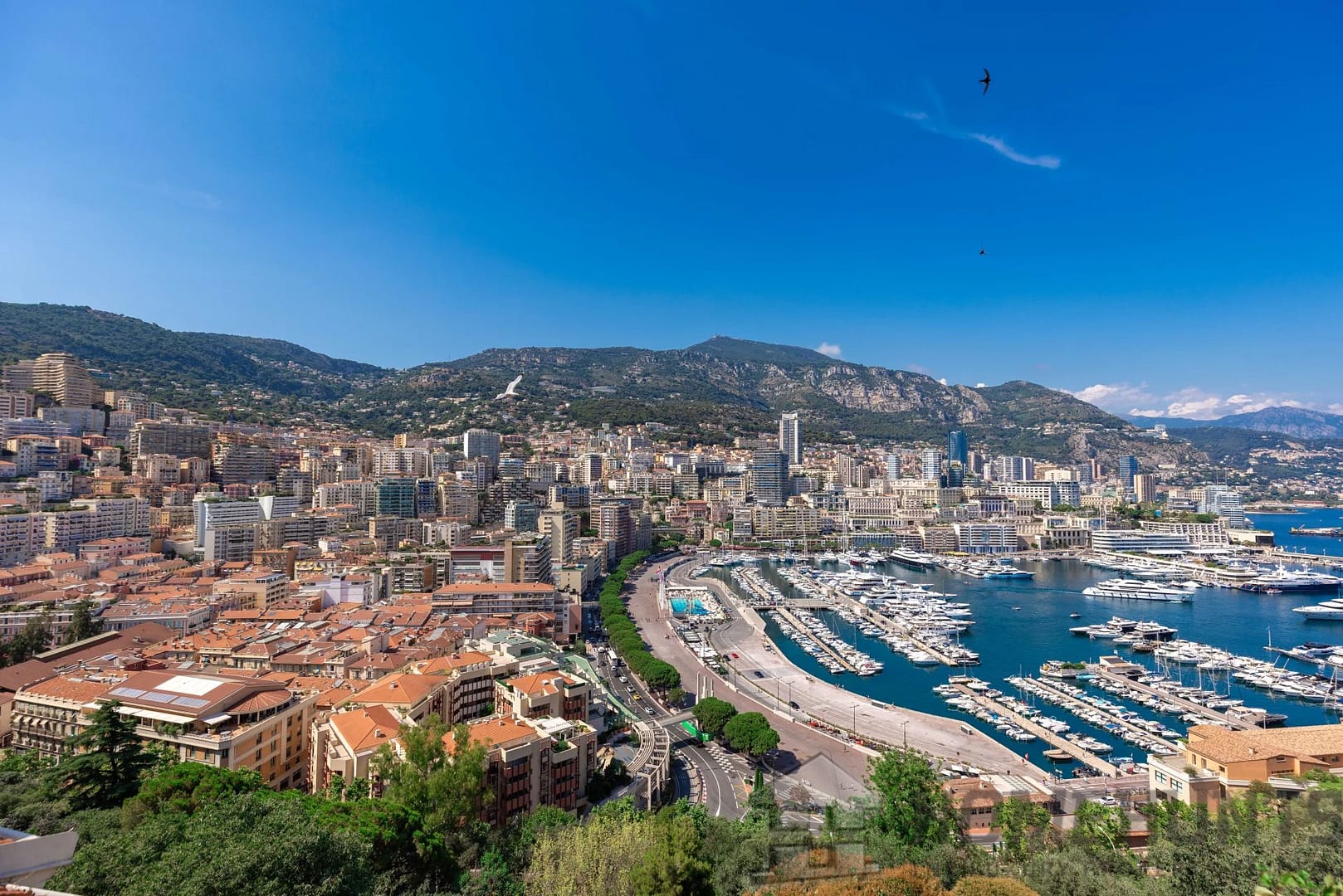 property_HH-15721303-2