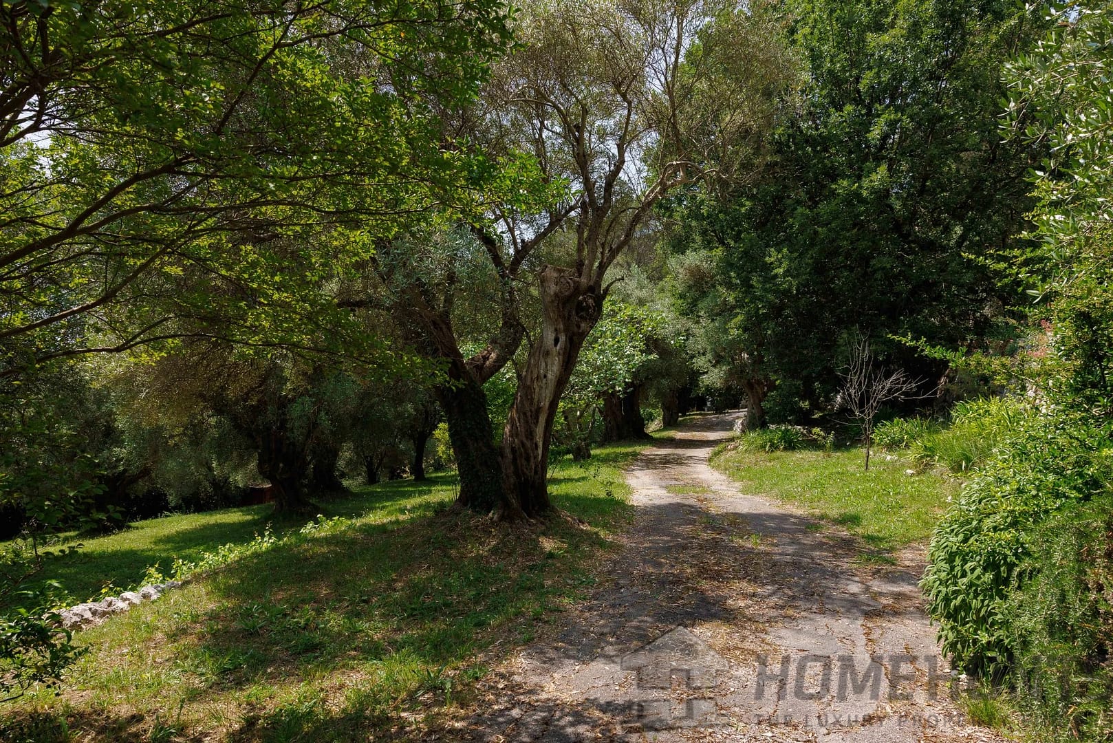 property_HH-15827994-14