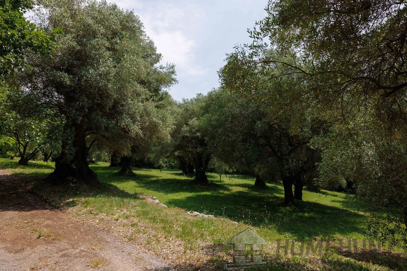 property_HH-15827994-15